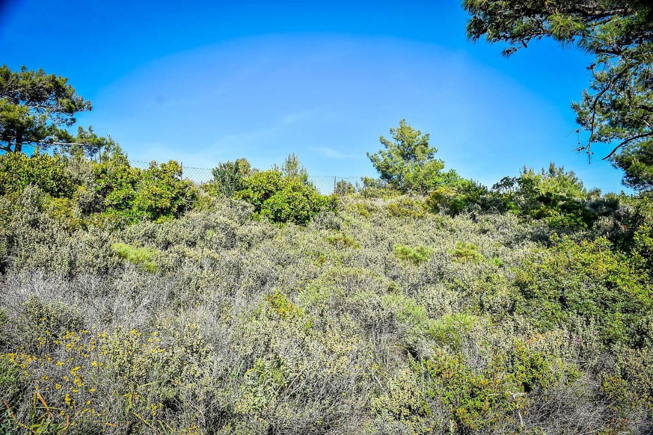 Drolma Ling Nature Cabins Theologos  Exterior photo