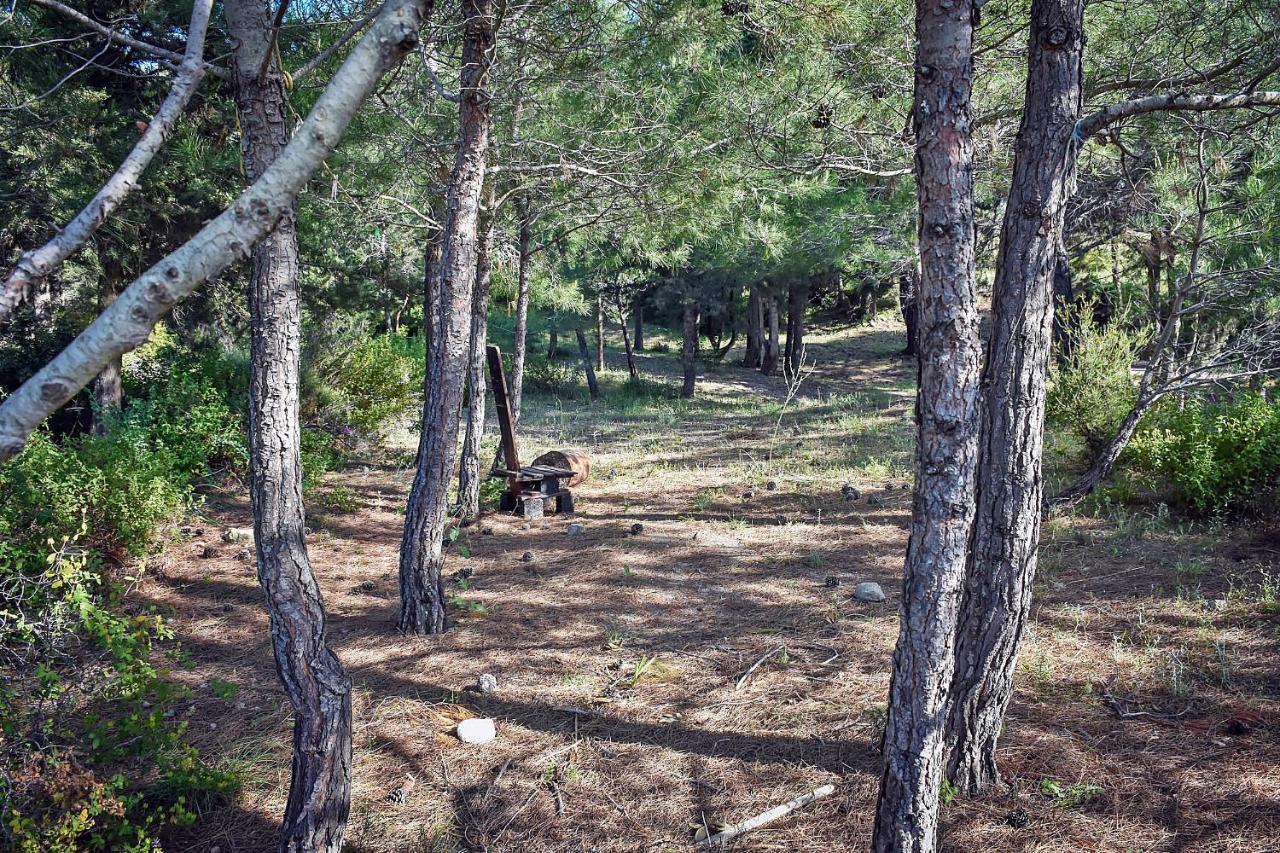 Drolma Ling Nature Cabins Theologos  Exterior photo