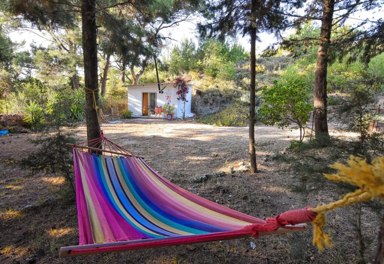 Drolma Ling Nature Cabins Theologos  Exterior photo